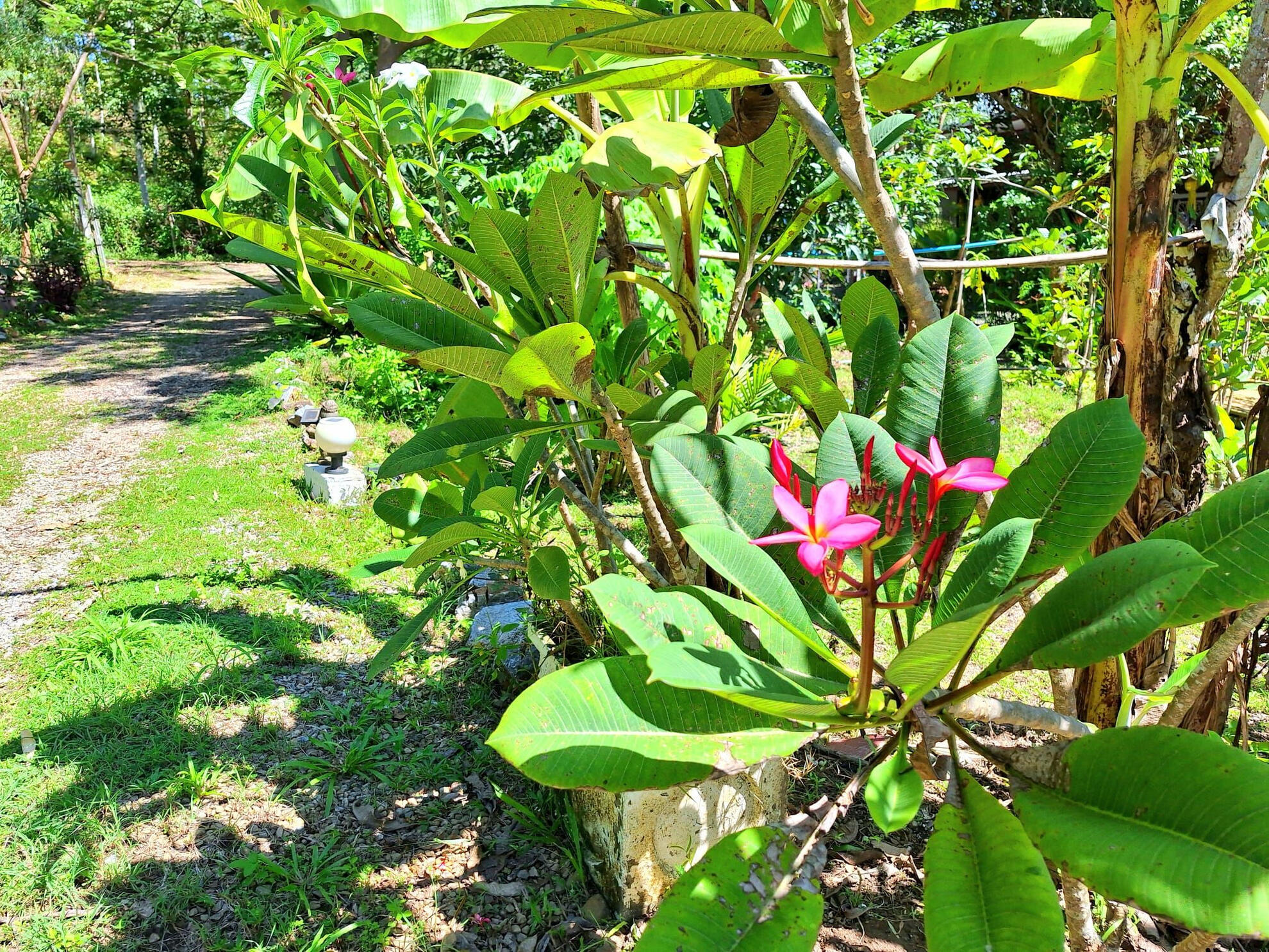 Meditation Retreat Thailand Pond Cabins Meditation Retreat Thailand Mountain Bungalows