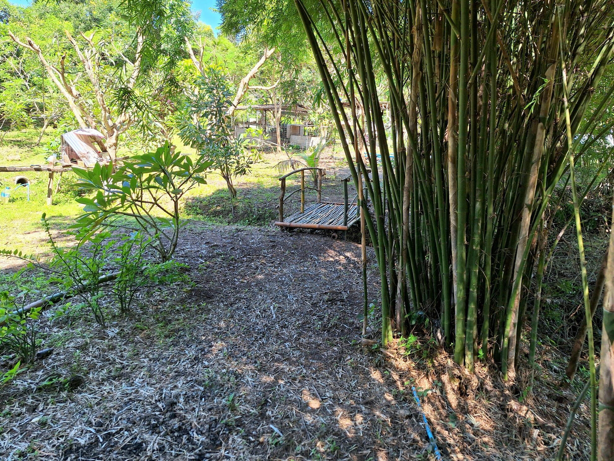 Meditation Retreat Thailand Pond Cabins Meditation Retreat Thailand Mountain Bungalows